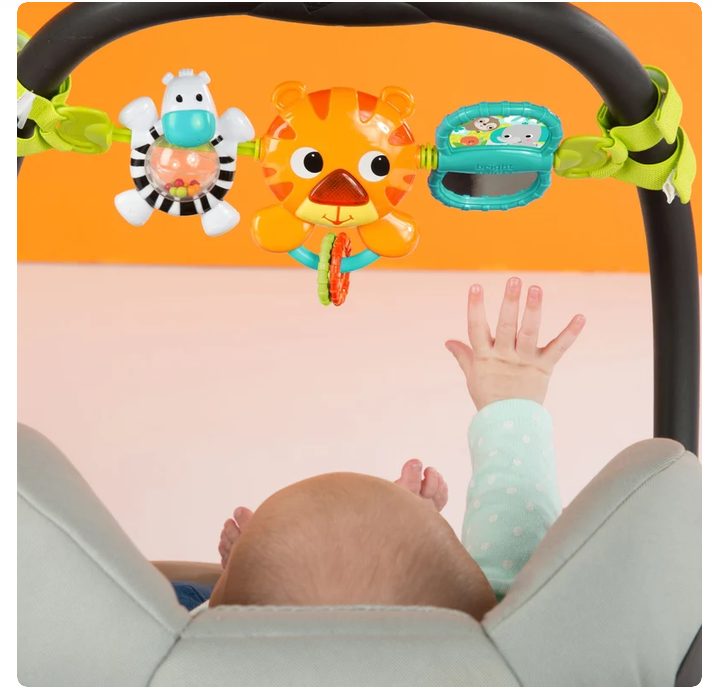 Bright Starts Take Along Tiger Carrier  Toy