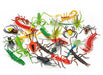 Insects Nature Tube 24 Piece