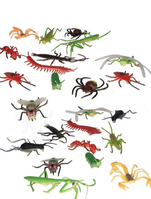 Insects Nature Tube 24 Piece
