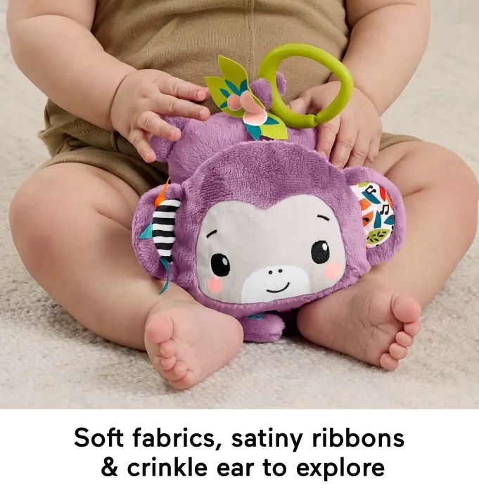 Fisher-price Sing & Go Purple Monkey Plush Baby Pram Toy