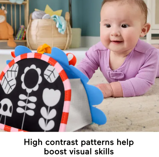 Fisher Price Prop & Go Mirror