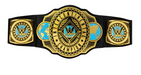 Wwe Intercontinental Championship Title Belt 