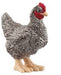 Schleich Plymouth Rock Chicken Sc13997