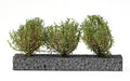 Ak Interactive Diorama Dark Green Bushes 4-6cm 1.35/75mm/90mm
