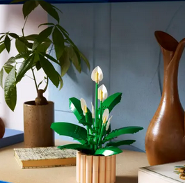 Lego 11504 Botanicals Peace Lily Ages:18+