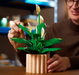 Lego 11504 Botanicals Peace Lily Ages:18+