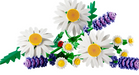 Lego 11508 Botanicals Daisies