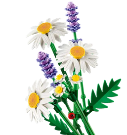 Lego 11508 Botanicals Daisies
