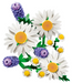 Lego 11508 Botanicals Daisies