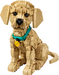 Lego 11384 Icons Goldern Retriever