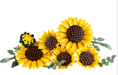 Lego 11502 Botanicals Sunflower Bouquet