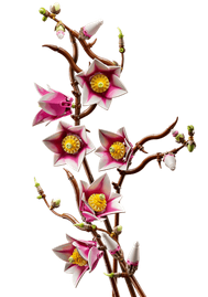 Lego 11510 Botanicals Magnolia Branches