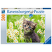 Ravensburger - Kitten In The Meadow 500pc Puzzle