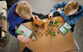 Lego 21596 Minecrsaft Evoker Village Attack