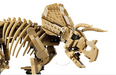 Lego 77985 Jurassic World Dinosaur Fossils Triceratops