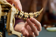 Lego 77985 Jurassic World Dinosaur Fossils Triceratops
