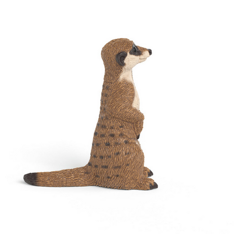 Schleich Meerkat - 14935