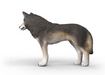 Schleich Wolf - 14991