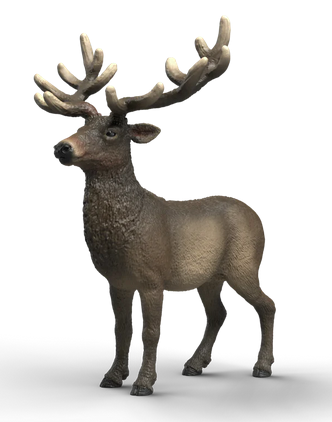 Schleich Elk - 14992