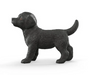 Schleich Black Labrador Retriever Puppy - 14922