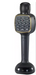 Vtech Karaoke Lights Mic