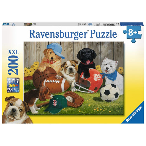 Rb12806-8 200pc Lets Play Ball Puzzle