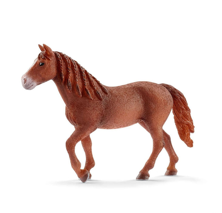 Schleich Morgan Mare