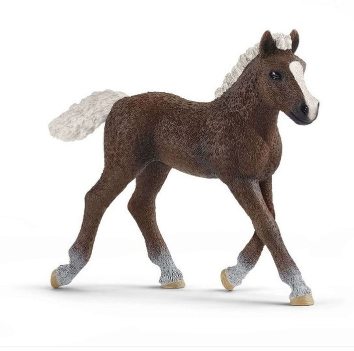 Schleich Black Forest Foal