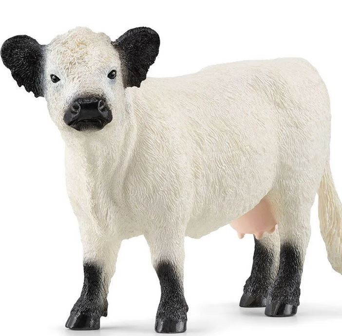 Schleich Galloway Cow Sc13960