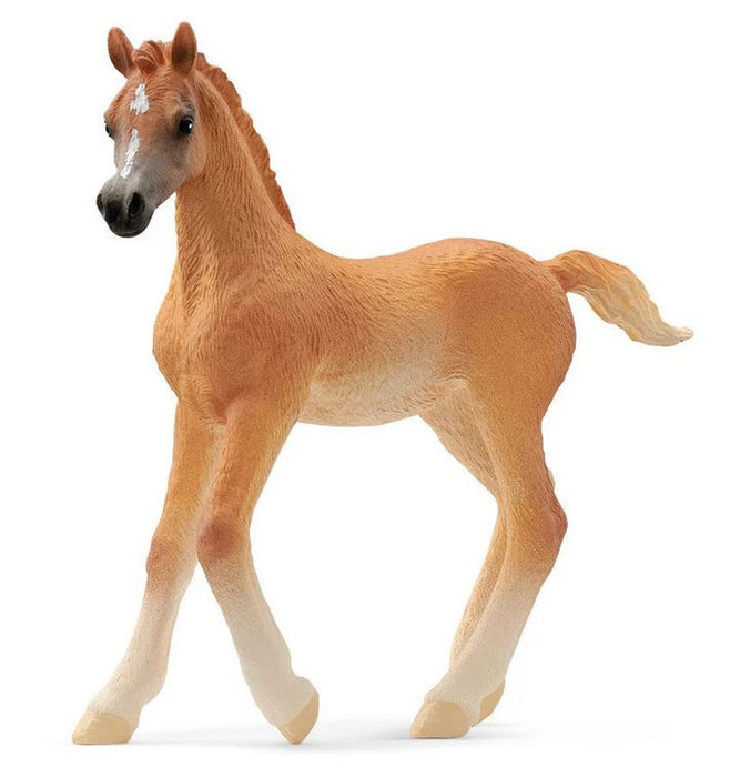 Schleich Arabian Foal Sc13984