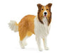 Schleich Collie Dog Sc13998
