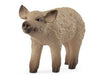 Schleich Mangalica Piglet Sc14893