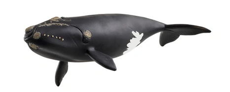 Schleich North Atlantic Right Whale Sc14878