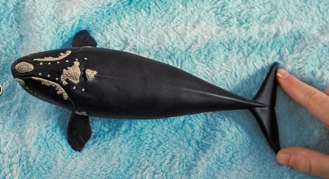 Schleich North Atlantic Right Whale Sc14878
