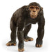 Schleich Chimpanzee Sc14883