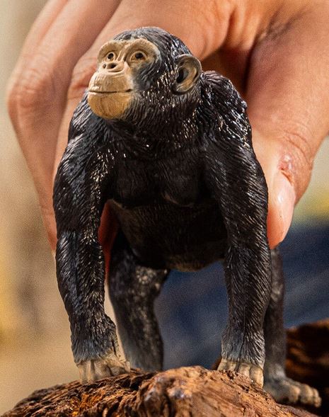 Schleich Chimpanzee Sc14883