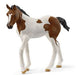 Schleich Paint Horse Foal Sc14899