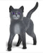 Schleich Karajan The Cat Sc14912