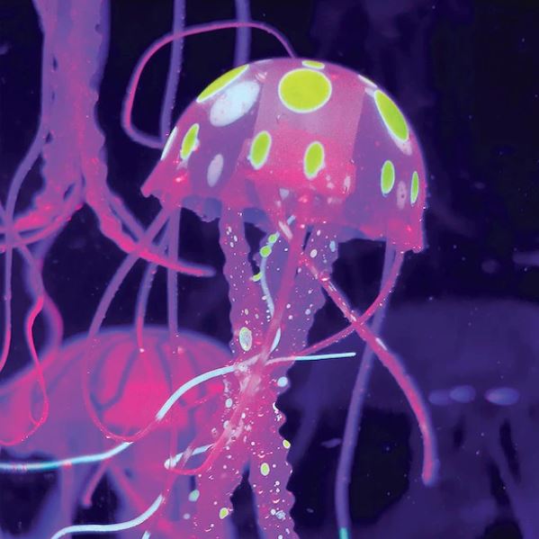 Discovery Mindblown Jellyfish Aquarium Light