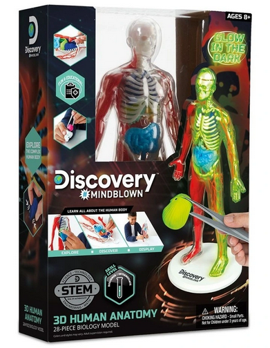 Discovery Mindblown 3d Human Anatomy Kit