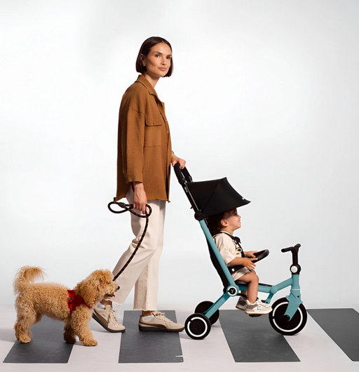 Smart Trike Wind - Blasck