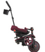 Globber Explorer Trike 4 In 1 Colour Sage