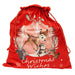 Bambi Velour Santa/gift Sack