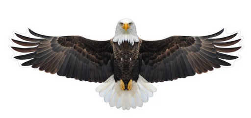 Brookite Bald Eagle Fun Kite