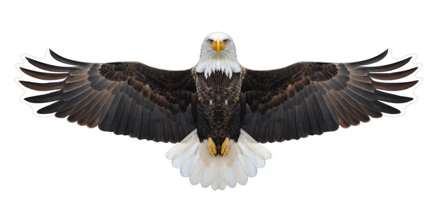 Brookite Bald Eagle Fun Kite