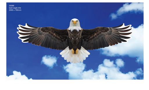 Brookite Bald Eagle Fun Kite