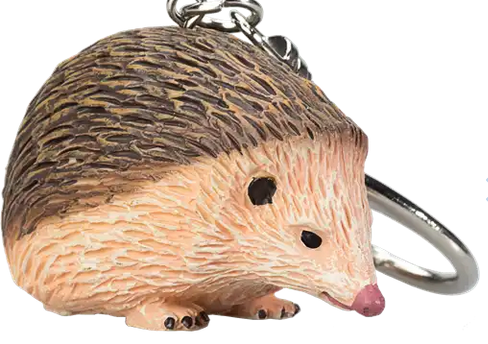 Animals Mojo Hedgehog Keyring