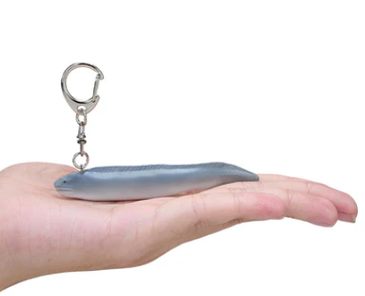 Sea Life Eel Mojo Keyring