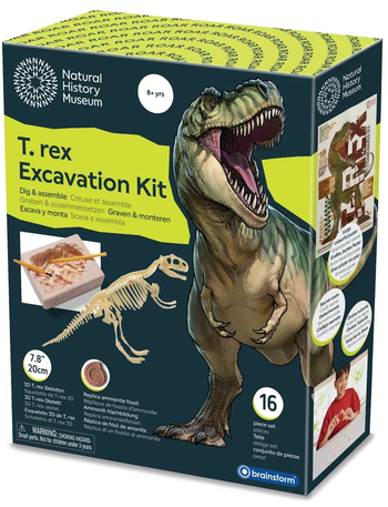 Brainstorm Toys - T-rex Excavation Kit