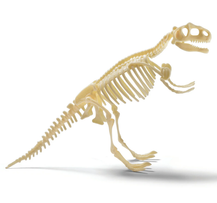 Brainstorm Toys - T-rex Excavation Kit
